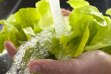 washing-lettuce.jpg
